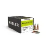 Střely Nosler Ballistic Tip Hunting 7,62mm, dia .310, 123grs