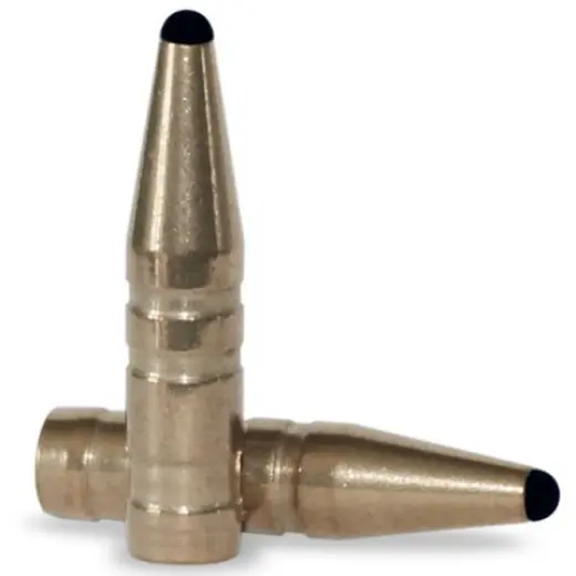 Bezolovnatá střela ráže .25, diametr .257, hmotnost 100grs