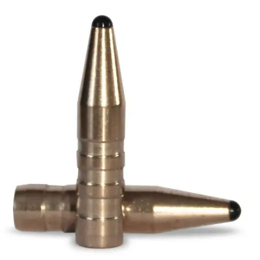 Bezolovnatá střela ráže .30, diametr .308, hmotnost 180grs