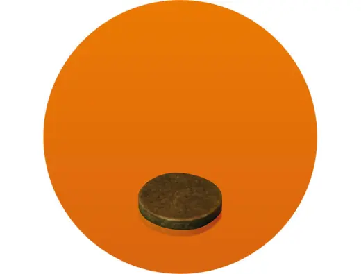 Kartonové podložky s prachovým potahem Diana RVL na prach pro ráži 12ga. Výška podložky 2mm.