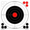 Stick A Bull 12" Bull's-Eye Target, 5 ks