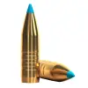 Bullets S&B caliber 9,3mm, weight 250grs, TXRG BLUE, 2991