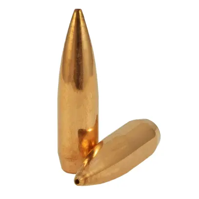 Střela Sellier & Bellot ráže .30 Cal., diametr .308, hmotnost 175grs/11,35g, typ střely HPBT, kód 2882 (V338712).