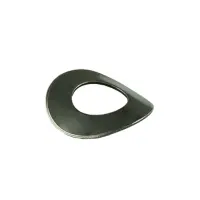 Bowed washer 14041