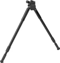 7146_L1