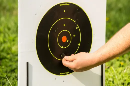 SHOOT•N•C BULL’S-EYE TARGET 17.25